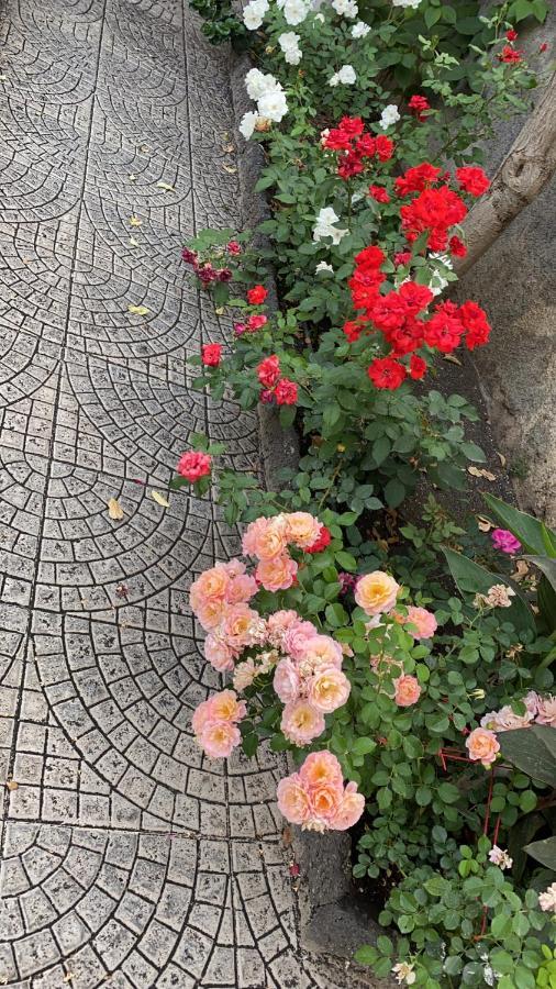 Casa Delle Rose Villa CTA Eksteriør bilde